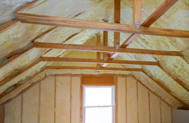 Best Eco-Friendly Insulation in David City, NE