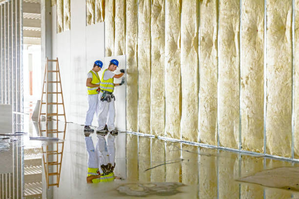 Types of Insulation We Offer in David City, NE